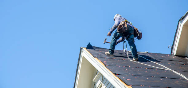 Roof Gutter Cleaning in East Ithaca, NY